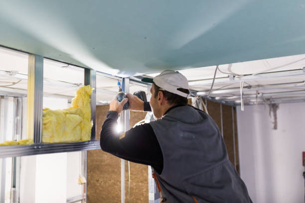 Best Insulation for Specific Applications in Madison Lake, MN