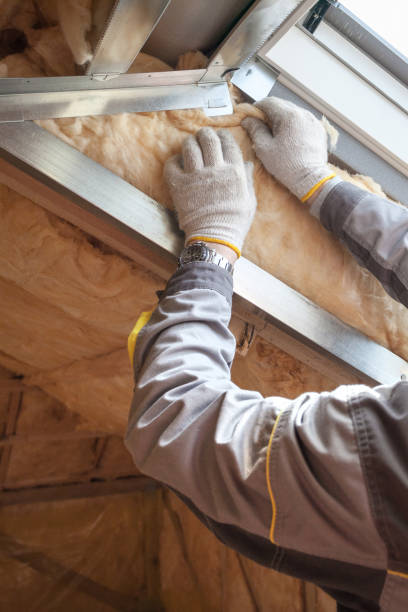 Best Insulation Maintenance and Repair in Madison Lake, MN