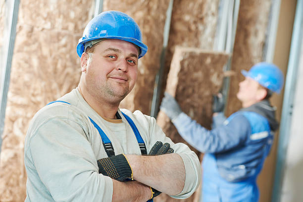 Best Insulation Installation Services in Madison Lake, MN